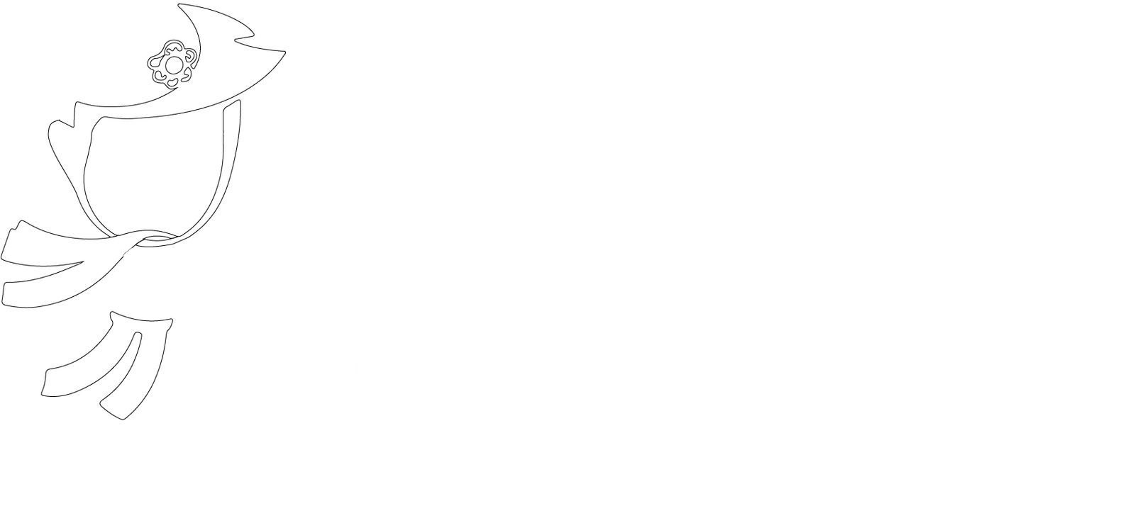 Innovation